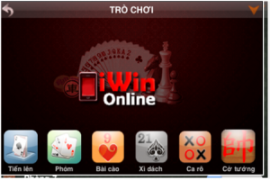 Iwin-300x200
